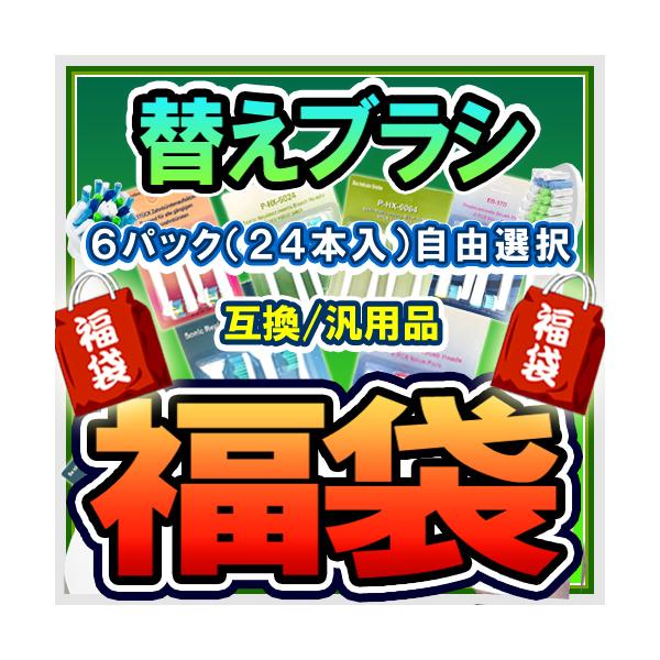 HX6064 hx6074 HX6024 RI 24{Zbg tBbvX \jbPA[p ւuV  duVwbh [֑ S1Nۏ 