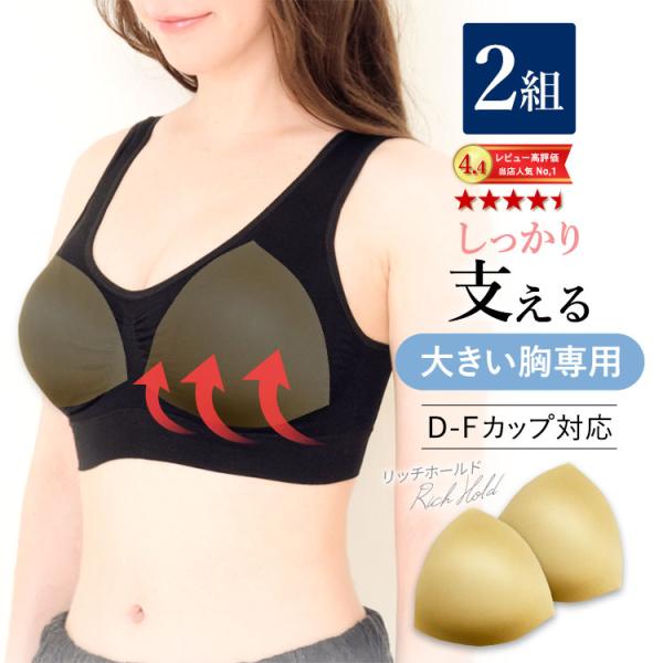 ブラパッド 大きいサイズ 大きめ ブラジャーパッド リッチホールド D-Fカップ 2組セット 「爆買」＆「母の日」