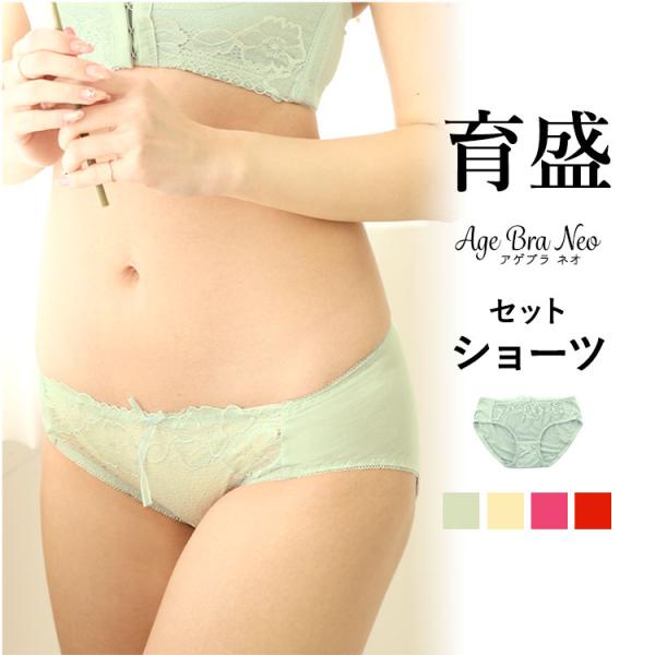 アゲブラNEO 透けるショーツ セット セクシー下着 透ける素材 浅履き ローライズ プレミーナセール 「爆買」＆「母の日」