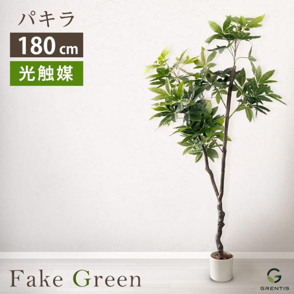 人工観葉植物 (パキラ) 180cm フェイクグリーン AG-PAC180 パキラ 高さ180cm GRENTIS(グレンティス