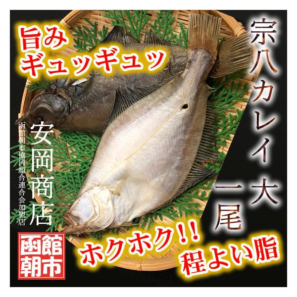 宗八カレイ 大 360ｇ前後 1尾