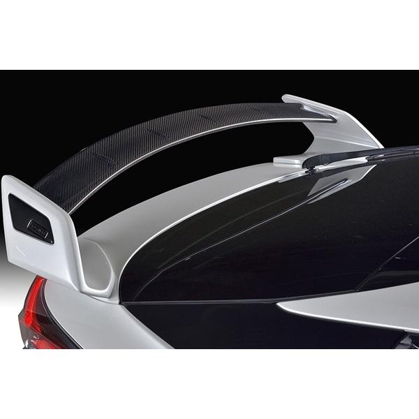 ROWEN GA ECO SPO Edition RR AEBO 5s[X FRP+WetCarbon h g^ vEX FF ZVW50p 1T022R10#