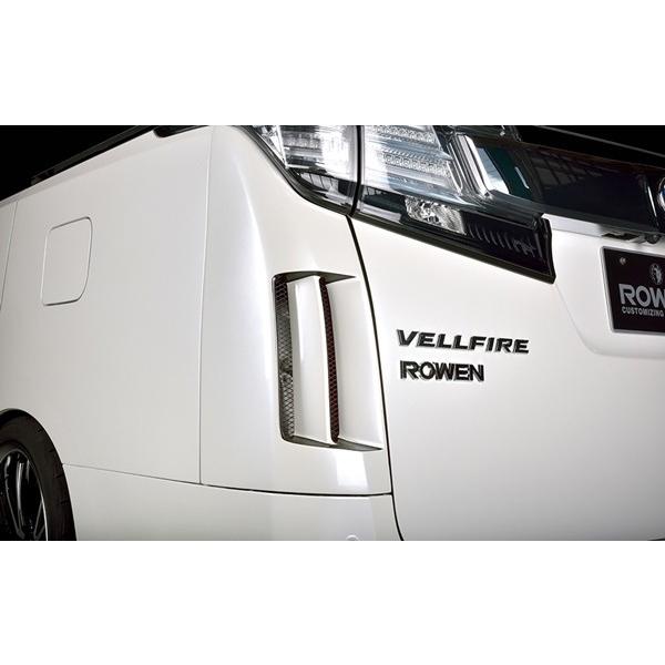 ROWEN �G�A�� JAPAN PREMIUM ���A�R�[�i�[�p�l�� WetCarbon�� �N���A�h���� �f�n �g���^ ���F���t�@�C�A RR Z 4WD AGH35W�p 1T018D10