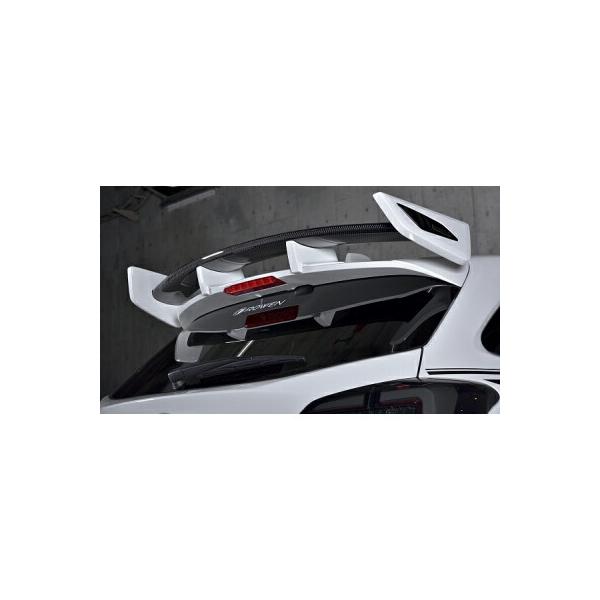 ROWEN GA PREMIUM Edition AEBO Ver.II WetCarbon+FRP fn Xo H[O  VM4/VMGp 1S009R10