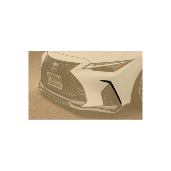 ROWEN GA tgop[GNXeV CARBON fn NTX IS FX|[c  350/300h/300 GSE31/AVE3#/ASE30p 1L012E11