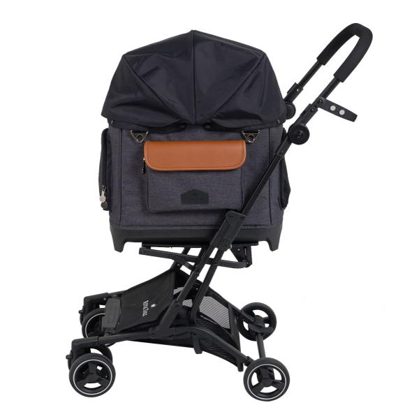 ROYAL TAILS Alice (C eCY AX) J[FCharcoal(`R[) ybgpi o  hCu