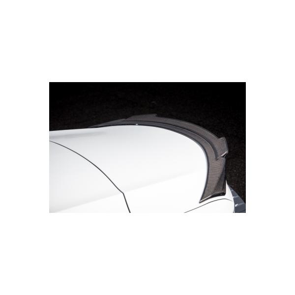 ROWEN GA WORLD PLATINUM gNX|C[ CARBON fn NTX LC500 Convertible DCF-Edition URZ100p 1L007T21