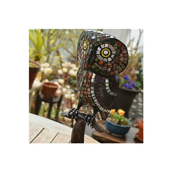 AWA o G }胂UCNKX̃tNE CeA  GXjbN u IuWF Aj} 