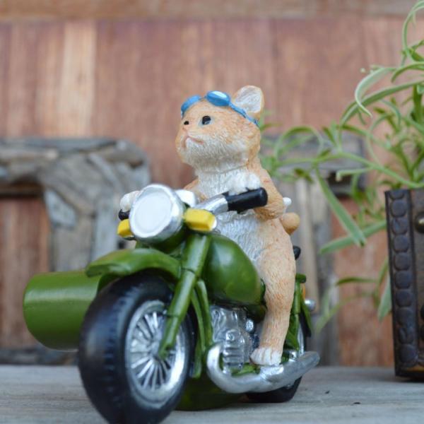 yzAWA o G TChJ[lR CeA  GXjbN u IuWF Aj}  L 킢