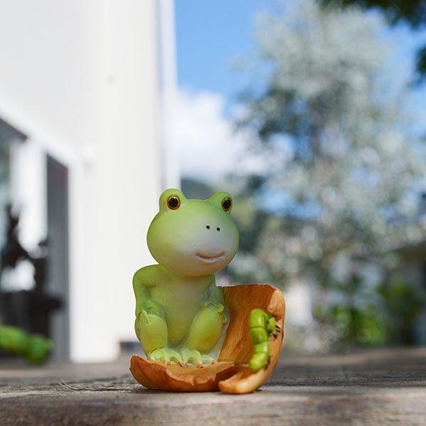 AWA o G ؂̗tɏJGƃCV CeA  GXjbN u IuWF Aj}  ^ 킢