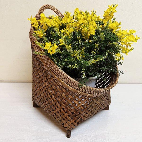 AWA o G 􂩂PoXPbgk CeA  GXjbN JS [ ϗtA Jo[ Xbp ^I Ǌ|