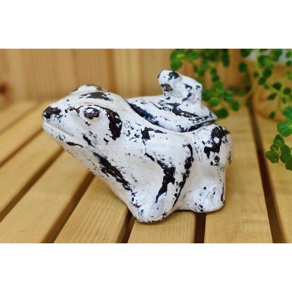  َq ANZT[P[X LfB[|bg AWA o G 􃍃{NĂJGeq̏ CeAG [G fUCG