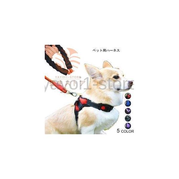 [h n[lX ZbgAbv   Q_Zbg ^ ^ ybgpi hbOEFA  _炩 ybg 