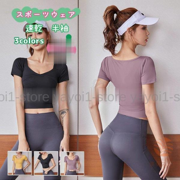 X|[cEFA fB[X KEFA n   K TVc hȂ gbvX ʋC  Lk  W[W  ꂢ 