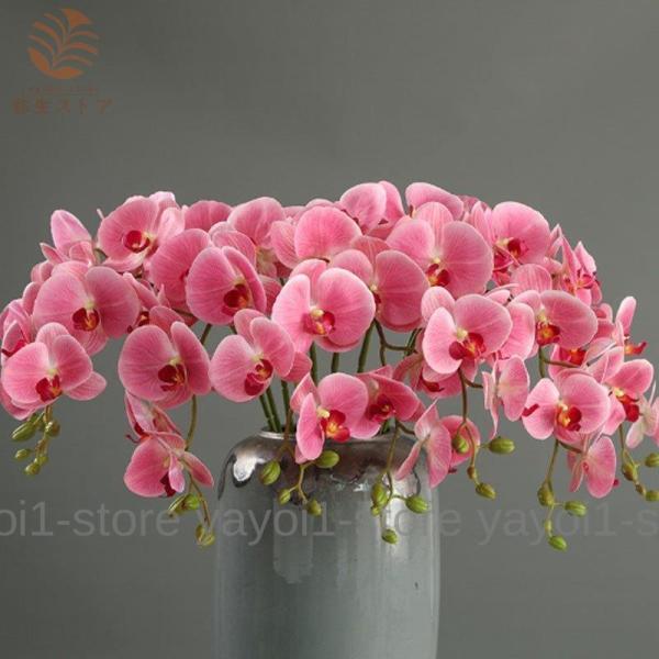  VNt[ ̉ JXjt ͂Ȃ 1{ u[P ԑ j AWg Jt CeA 