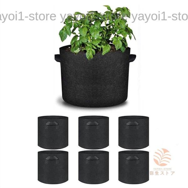 z ͔| v^[ 6_Zbg 3K tFg sDz|bg Aؔ A K[f ʋC diy | A琬 ؍͔| e