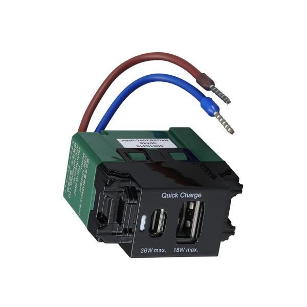 YAZAWA 埋込USBコンセント PD36W Type-C Type-A 2ポート ブラック AZH4USB20PD36BK