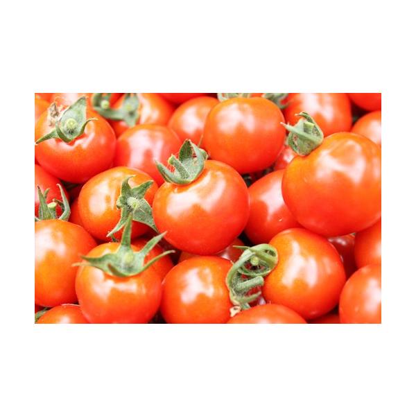 北海道・九州・沖縄への発送は送料が別途300円追加されます。夏季（6〜9月）の期間は輸送中に温度が高い為、品質が落ちる可能性がありますので夏季は冷蔵発送のみの販売になります。常温発送での注文はお受けできません。