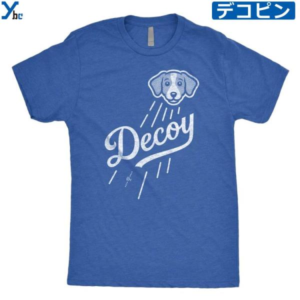 ybc_decoy-t