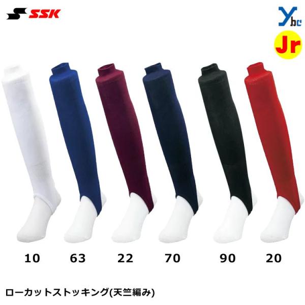 SSK GXGXPC WjAp  NpXgbLO 싅 [Jbg EFA |GXe V҂ YA5610J