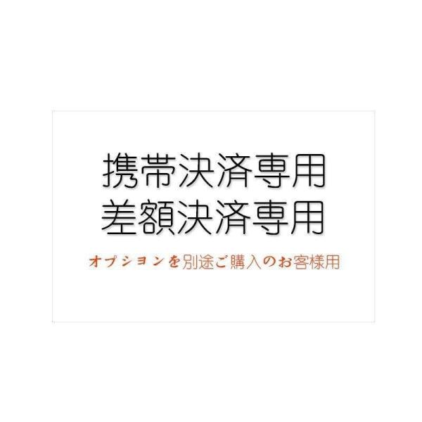 差額決済専用　再送送料　オプションを別途ご購入のお客様用