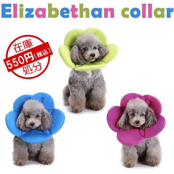 犬 猫 エリザベスカラー 介護 手術後 ソフト 小型犬 中型犬 S M L グリーン ブルー パープル Az91 I Pet 通販 Yahoo ショッピング