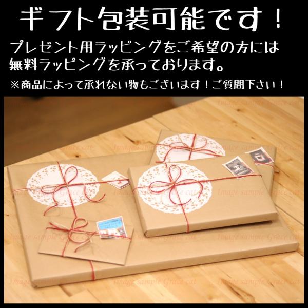 PRADA（プラダ） お部屋のイメチェン送料無料Grace cat Artサイズが