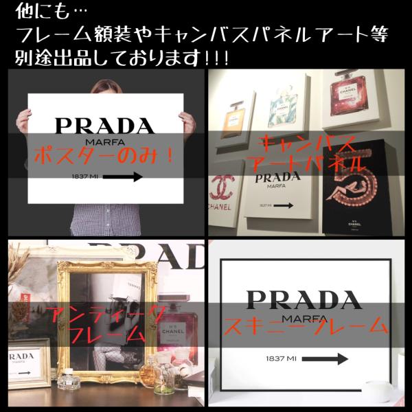 PRADA（プラダ） お部屋のイメチェン送料無料Grace cat Artサイズが