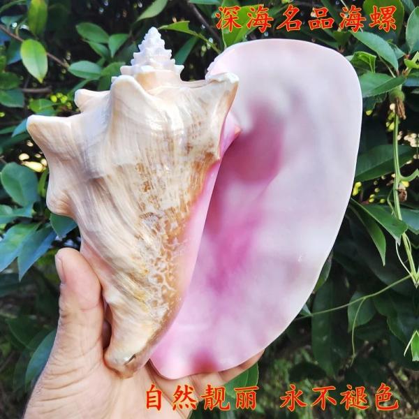 yeekshop_hy000091-06