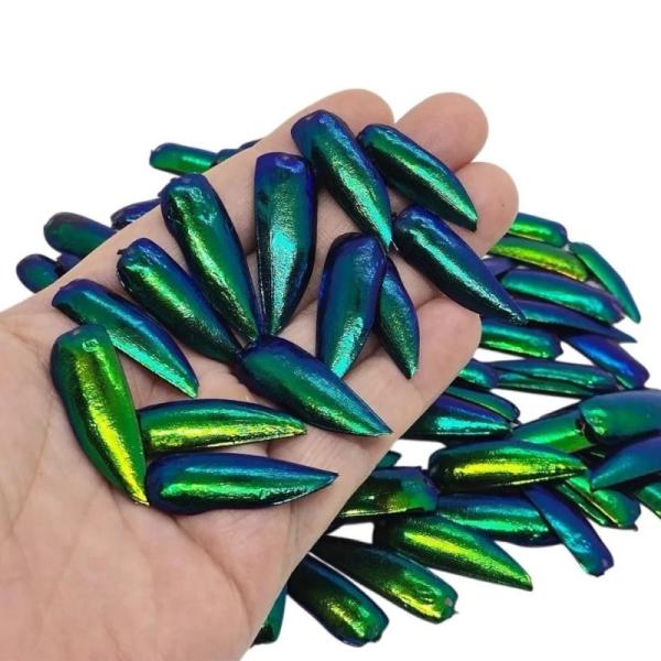 ジュエルビートル エリトラ エメラルドグリーン 天然昆虫 羽翅 樹脂封入 ネックレス イヤリング DIY 材料 50pcs