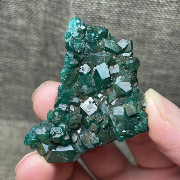 コンゴグリーンディオプタス鉱物標本 緑色結晶 クリスタル インテリア 装飾 培養石 教育用コレクション 10CT 25g 50mm
