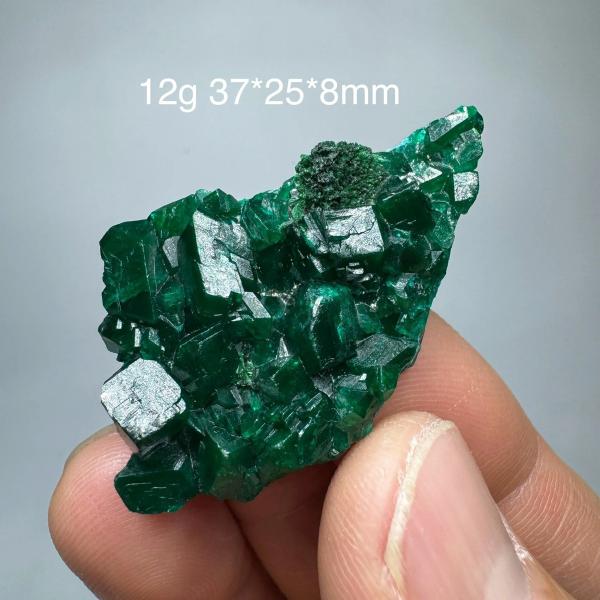 コンゴグリーンディオプタス鉱物標本 緑色結晶 クリスタル インテリア 装飾 培養石 教育用コレクション 13CT