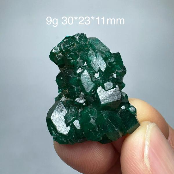 コンゴグリーンディオプタス鉱物標本 緑色結晶 クリスタル インテリア 装飾 培養石 教育用コレクション 15CT