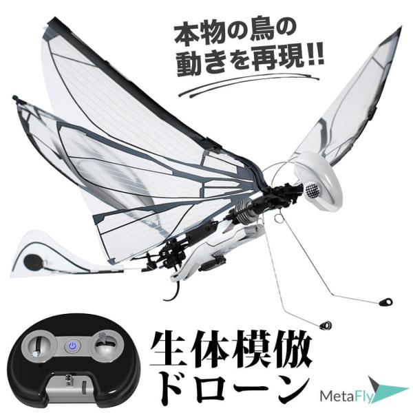 Fly Standard Kit リモコン飛行生物 Fly Standard Kit リモコン飛行生物 Amazon | MetaFly ラジコン