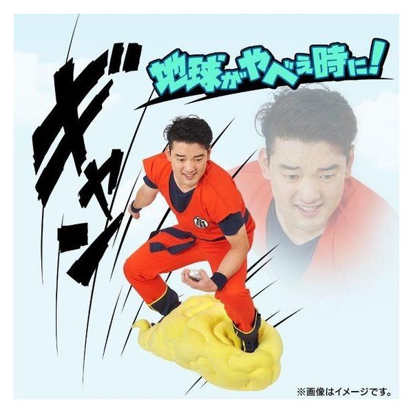 ドラゴンボール 心の清い者がのれる 筋斗雲クッション Purrworld Com