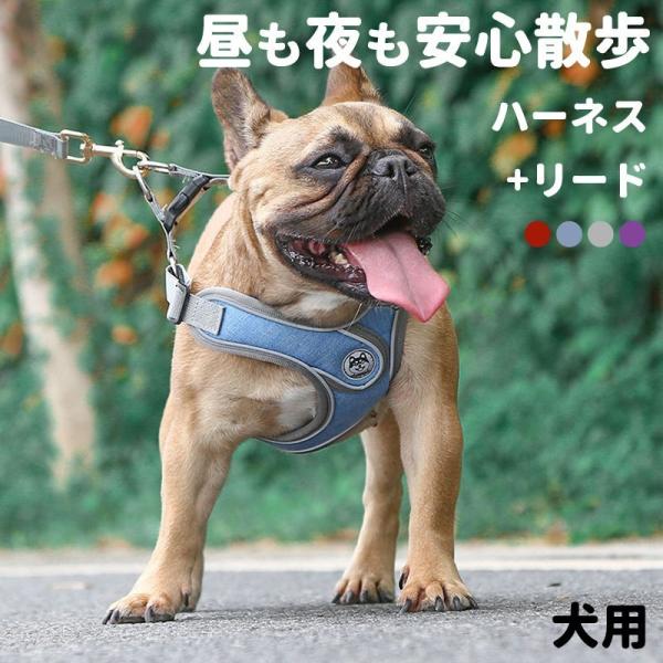 p n[lX [h 2_Zbg TCY ^ ^ ^ ˑf tN^[t Ռɘa Sy ʋC v  