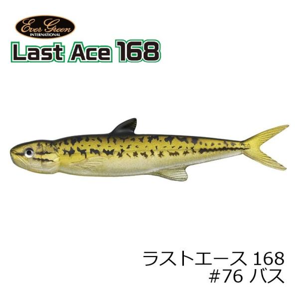 エバーグリーン　ラストエース 168　#76 バス