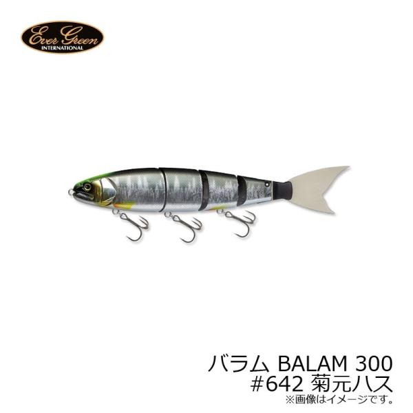 EverGreen（エバーグリーン） バラム BALAM 300 #642 菊元ハス : 釣具