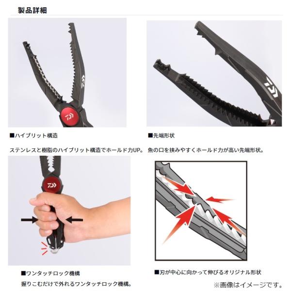 yfto2_4550133617164_1_d_20251202132911