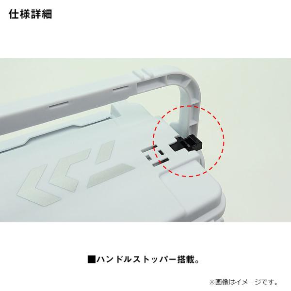 yfto2_4550133658228_2_d_20260224132505