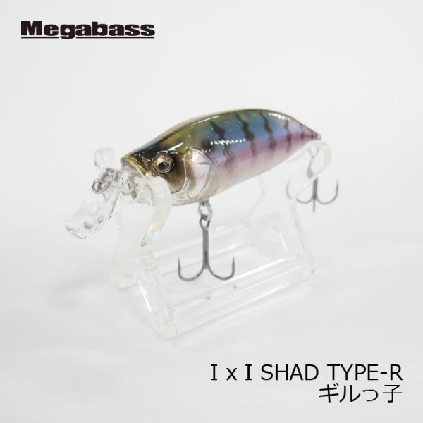 ���K�o�X�@IXI SHAD �i�A�C�o�C�A�C�V���b�h�j TYPE-R �M�����q