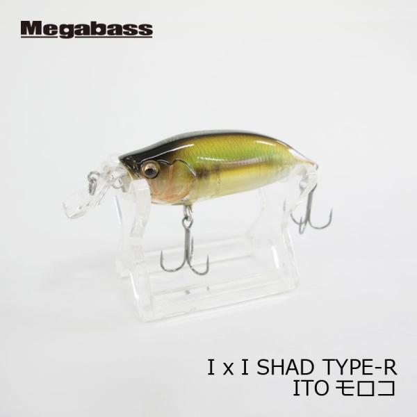 KoX@IXI SHAD iACoCACVbhj TYPE-R ITOR