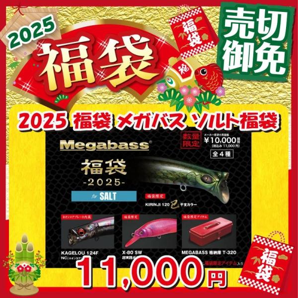 Megabass（メガバス） 2025メガバス福袋 SALT SET : 釣具のFTO - 通販