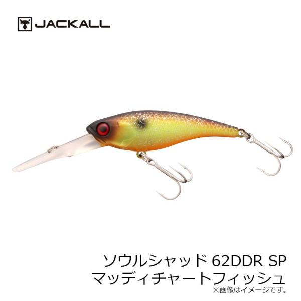 �W���b�J���@�\�E���V���b�h62DDR SP �}�b�f�B�`���[�g�t�B�b�V��