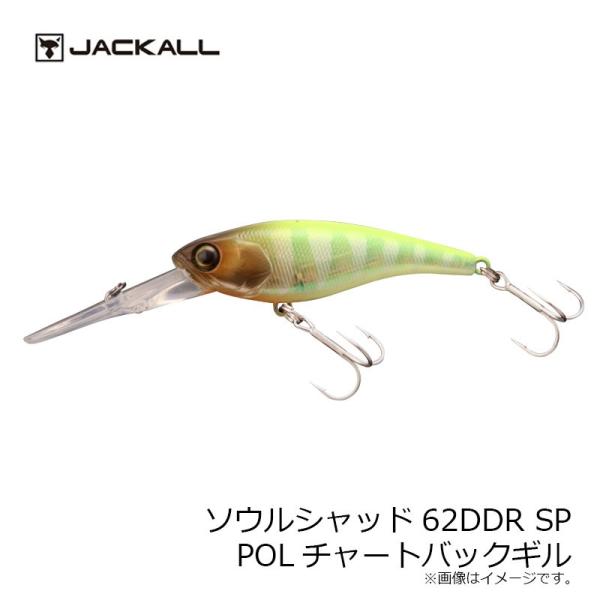 WbJ@\EVbh62DDR SP POL`[gobNu[M