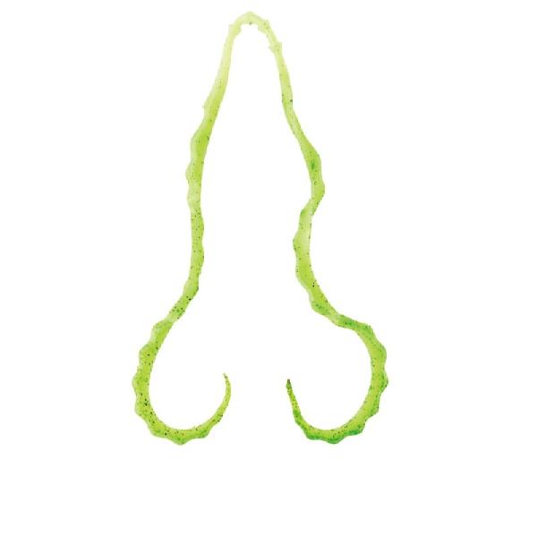 ܂@ 3D \tglN^C #08 CO[/S[ht[N