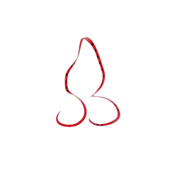 ܂@ VRlN^C (ɍ׃V[gJ[[) #14 \bhbhubNX|bg