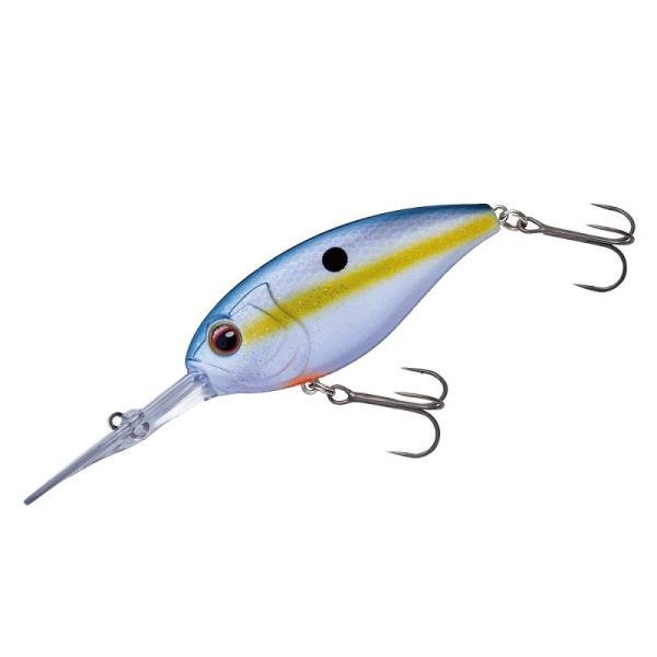 ܂@AxWNN400 #13 ZNV[Vbh