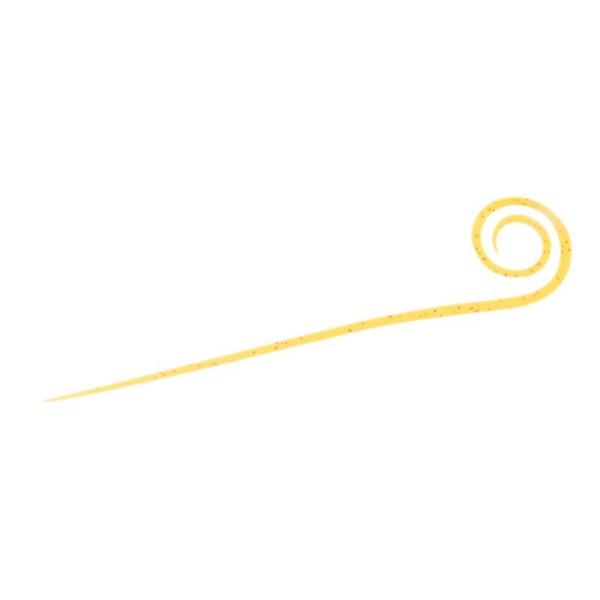 _C@gVRlN^C `[STCX  / ^Co lN^C }_C ꐽ