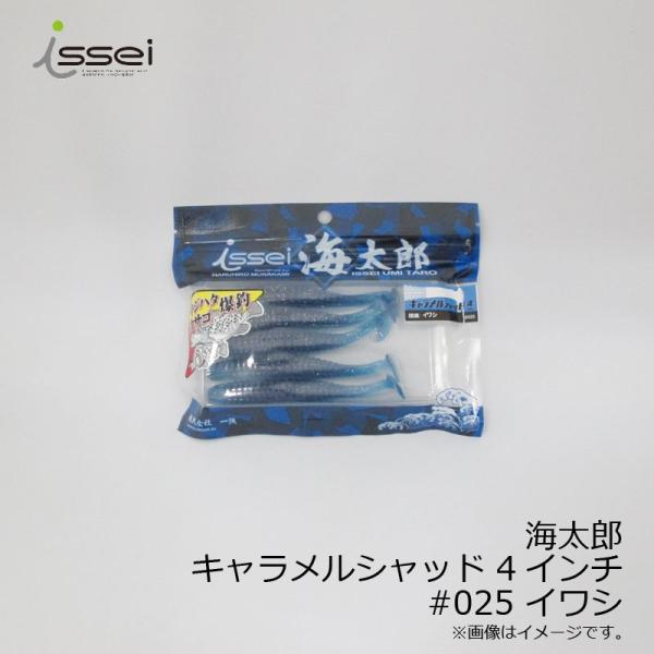 ꐽ@CY LVbh 4C` #025 CV